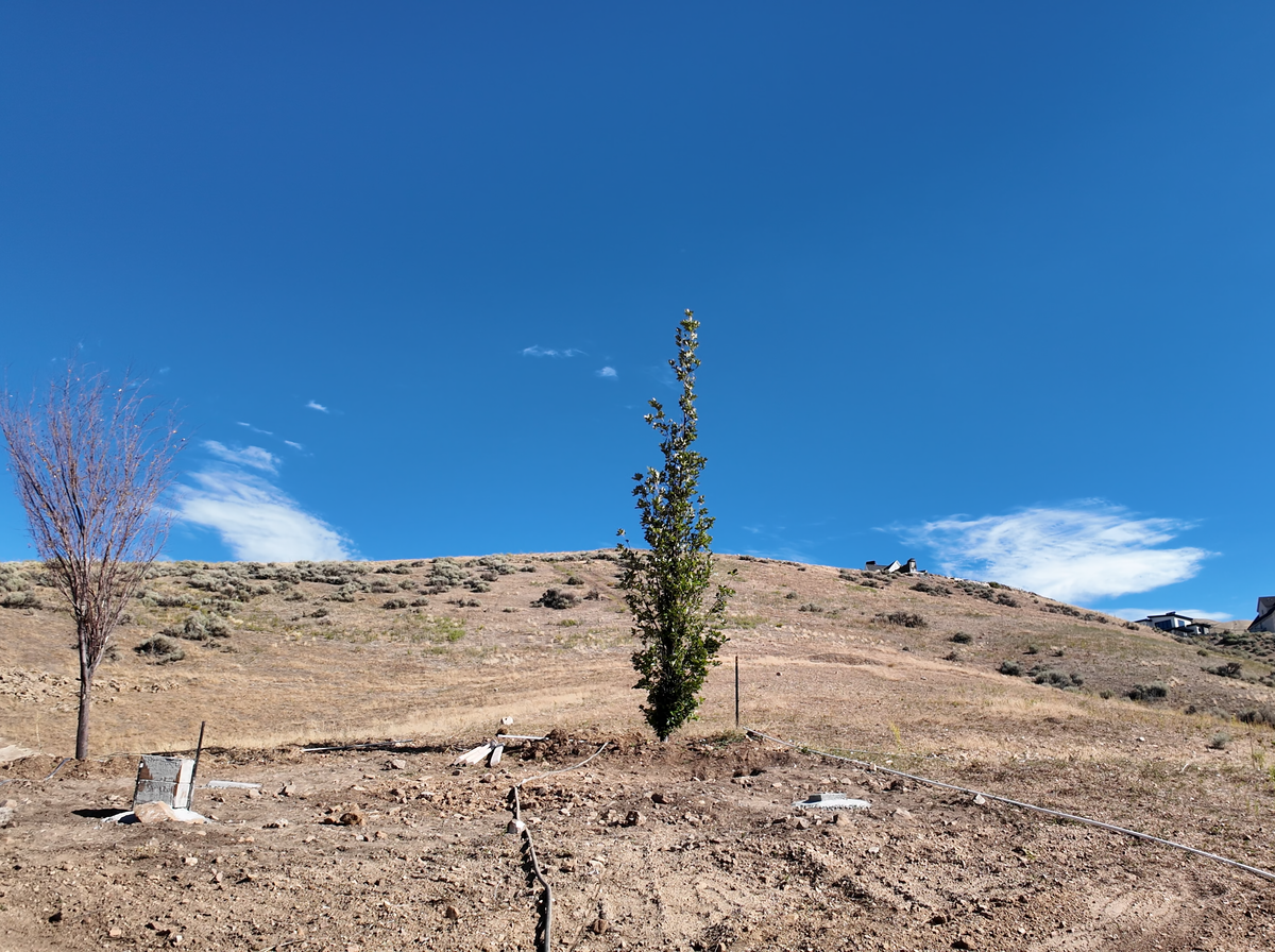 The same hillside lot in Lehi, Utah before the pergola went in